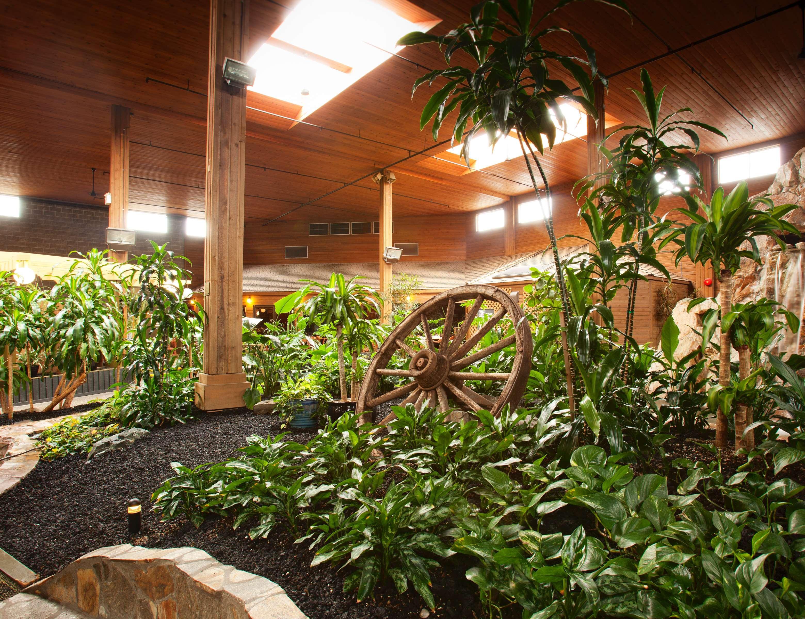 Best Western Premier Ashton Suites - Willowbrook Houston Exteriör bild